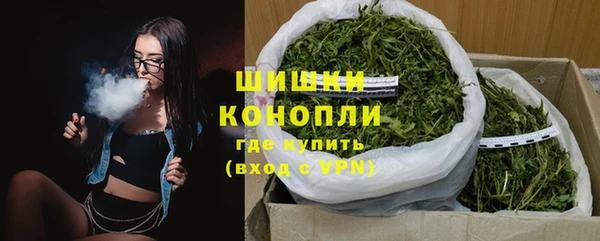 молекула духа Тихвин