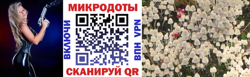 Купить Дудинка Псилоцибиновые грибы мицелий